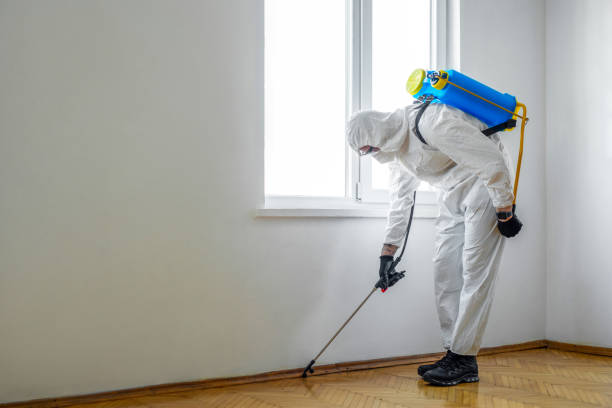 Best Organic or Eco-Friendly Pest Control  in Holly Lake Ranch, TX